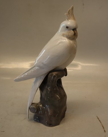 1479 RC Cockatoo 20 x 11 cm Edinger Jensen 1915  Royal Copenhagen