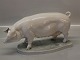 MISS PIGGY Royal Copenhagen figurine 
4559 RC Sow on base, Signed Helen Schou 16 x 30 cm