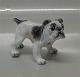 Dahl Jensen figur 1135 Engelsk Bulldog (DJ) 10 cm
